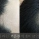 송탄 헤어라인문신_플랜비 (2)